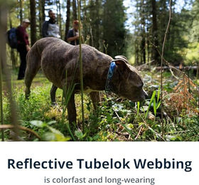 Ruffwear Crag Hundehalsband mit Aluminium-V-Ring Canyon Oxbow Grösse M 36–51 cm – Bild 1 von 11