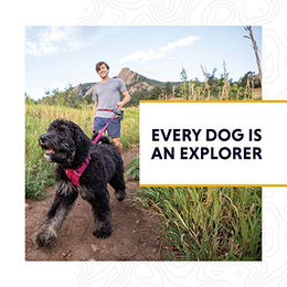 Ruffwear Crag Hundehalsband reflektierend Rot Größe L – Bild 1 von 2