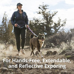 Ruffwear Crag Hundeleine Reflektierend Verstellbar Grün Grösse L - 1 Stk. – Bild 1 von 6