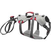 Produktbild von Ruffwear DoubleBack Hundegeschirr Sicherheitsgeschirr Grau L/XL mit Aluminium-Elementen