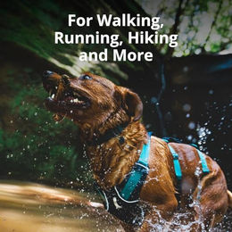 Ruffwear Flagline Hundegeschirr Sportgeschirr Rosa Größe S – Bild 1 von 6