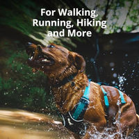 Produktbild von Ruffwear Flagline Hundegeschirr Sportgeschirr Rosa Größe S