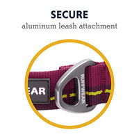 Produktbild von Ruffwear Flat Out Collar Hundehalsband Wildflower Horizon Größe L