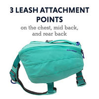 Produktbild von Ruffwear Front Range Day Pack Hunderucksack für kleine Hunde XS Türkis - 4,5 l