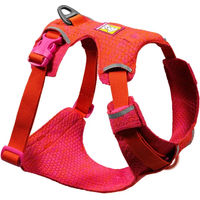 Produktbild von Ruffwear Front Range Flex Sportgeschirr für Hunde in Rose Violet, Größe S