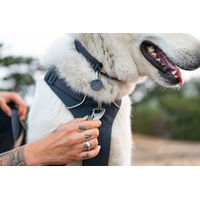 Produktbild von Ruffwear Front Range Hundehalsband aus Tubelok-Gewebe mit Aluminium-Leinenbefestigung Huckleberry Blue Größe L 51-66cm - 1 Stk.