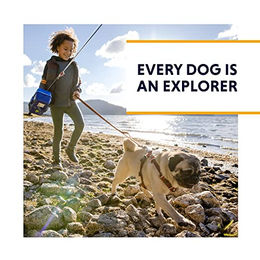 Ruffwear Front Range Hundehalsband Lila Größe L – Bild 1 von 2