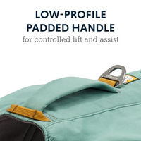 Produktbild von Ruffwear Front Range Hundetagesrucksack Grün L/XL