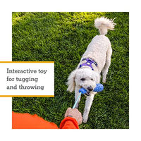 Produktbild von Ruffwear Gourdo Hundespielzeug aus Naturkautschuk mit Kernmantelseil Lila Größe L