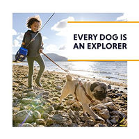 Produktbild von Ruffwear Grip Trex Pfotenschuhe für Hunde in Lichen Green 2.75 Zoll