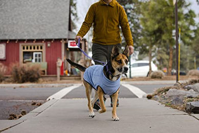 Ruffwear Hemp Hound Hundepullover aus Bio-Baumwolle Lila XS - 1 Stk. – Bild 1 von 5