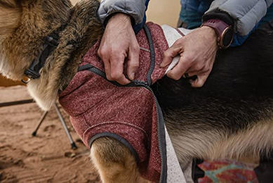 Ruffwear Hemp Hound Pullover für Hunde aus Bio-Baumwolle Lila S – Bild 1 von 4
