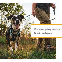 Produktbild von Ruffwear Hi & Light Hundegeschirr Rosa XL wasserabweisend aus Nylon