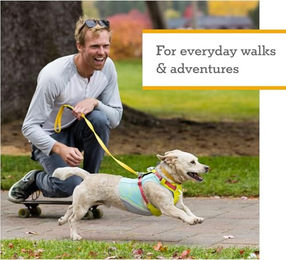 Ruffwear Hi & Light Hundegeschirr Sportgeschirr Grün XS - 1 Stk. – Bild 1 von 9