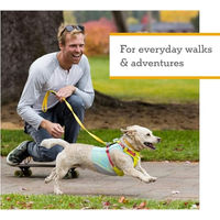 Produktbild von Ruffwear Hi & Light Hundegeschirr Sportgeschirr Grün XS - 1 Stk.