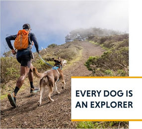 Ruffwear Hi & Light Hundegeschirr Sportgeschirr Grün XS wasserabweisend – Bild 1 von 5