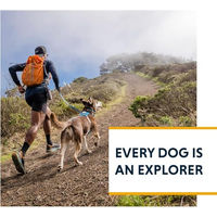 Produktbild von Ruffwear Hi & Light Hundegeschirr Sportgeschirr Grün XS wasserabweisend