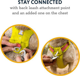 Ruffwear Hi & Light Hundegeschirr XS Grün – Bild 1 von 9