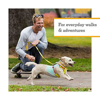 Produktbild von Ruffwear Hi & Light Sportgeschirr für Hunde Grün XS