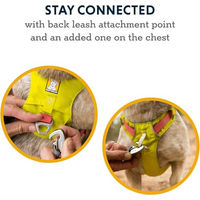 Produktbild von Ruffwear Hi & Light Sportgeschirr für Hunde, Grün, XS, wasserabweisend
