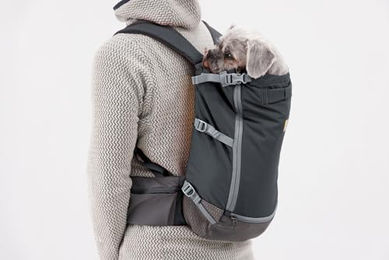 Ruffwear Hitch Hiker Hunderucksack Hundetragetasche Grau XS - 1 Stk. – Bild 1 von 9