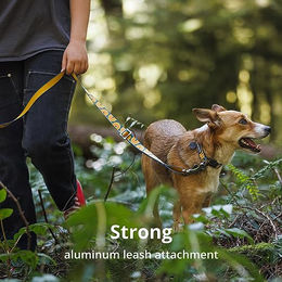 Ruffwear Hundehalsband Crag Collar Alpine Dusk Größe S – Bild 1 von 9