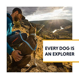 Ruffwear Hundehalsband Hi & Light Lichen Green Größe L 51-66 cm – Bild 1 von 6