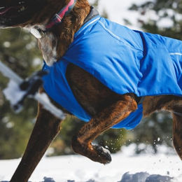 Ruffwear Hundejacke Vert Waterproof Nylon Orange XS - 1 Stk. – Bild 1 von 2