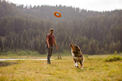 Ruffwear Hydro Plane Schwimmende Frisbee für Hunde Lila Größe L - 30,5 cm – Bild 1 von 4