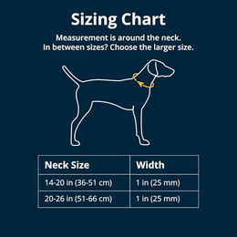 Ruffwear Knot-a-Collar Hundehalsband aus Kletterseil Größe M Grün – Bild 1 von 4