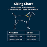 Produktbild von Ruffwear Knot-a-Collar Hundehalsband aus Kletterseil Größe M Grün