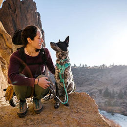 Ruffwear Knot-a-Collar reflektierendes Hundehalsband aus Seil Aurora Teal – Bild 1 von 3