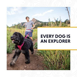 Produktbild von Ruffwear Knot-a-Collar reflektierendes Hundehalsband aus Seil Blau Größe M - 1 Stk.