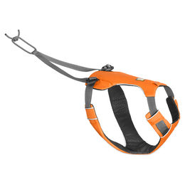 Produktbild von Ruffwear Omnijore Sportgeschirr für Hunde Orange Poppy Größe L/XL