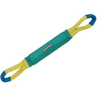Produktbild von Ruffwear Pacific Loop Hundespielzeug bunt und grün