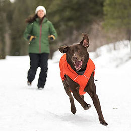 Ruffwear Quinzee Hundemantel Isolierte Winterjacke Wasserabweisend XS Rot Orange – Bild 1 von 2