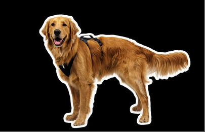 Ruffwear Ridgeline Harness Sportgeschirr für Hunde Schwarz aus Polyester – Bild 1 von 3