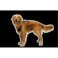 Produktbild von Ruffwear Ridgeline Harness Sportgeschirr für Hunde Schwarz aus Polyester