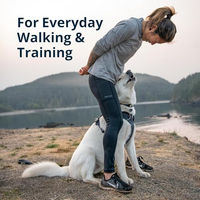 Produktbild von Ruffwear Sportgeschirr für Hunde Front Range Blau XS