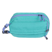 Produktbild von Ruffwear Stash Bag Plus Hüfttasche Aurora Teal Türkis Größe L - 9 l