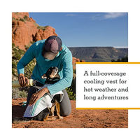 Produktbild von Ruffwear Swamp Cooler Kühlweste für Hunde in Lila XL - 1 Stk.