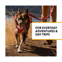 Produktbild von Ruffwear Switchbak Sportgeschirr für Hunde Rot L-XL - 1 Stk.