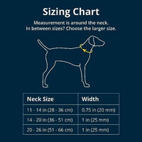 Produktbild von Ruffwear Top Rope Hundehalsband für große Hunde Größe L Grün