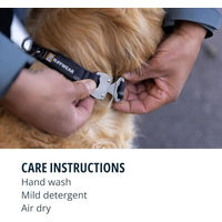 Produktbild von Ruffwear Top Rope Hundehalsband Mittelgroß Größe M River Rock Green