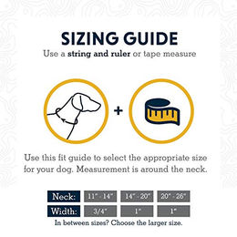 Ruffwear Top Rope Hundehalsband reflektierend mit Metallschnalle Granitgrau Größe L – Bild 1 von 2