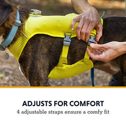 Ruffwear Trail Runner Laufweste für Hunde Blau XL – Bild 1 von 10