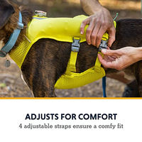 Produktbild von Ruffwear Trail Runner Laufweste für Hunde Blau XL