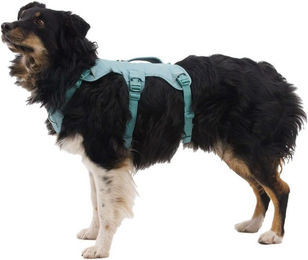 Ruffwear Web Master Harness Sicherheitsgeschirr für Hunde Adult – Bild 1 von 3