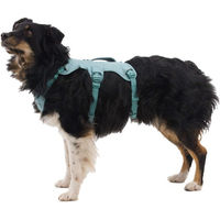 Produktbild von Ruffwear Web Master Harness Sicherheitsgeschirr für Hunde Adult