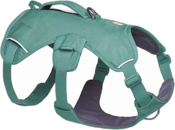 Produktbild von Ruffwear Web Master Hundegeschirr mit Griff Grün Größe M